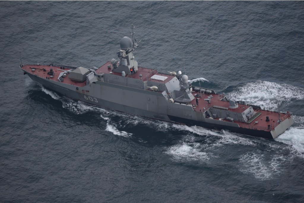 Navele proiect 21631 - Buyan M - RNHS